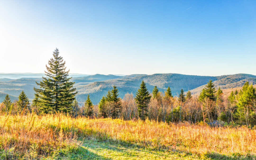 Understanding Drug Addiction in West Virginia: Causes, Impact, and Treatment Options