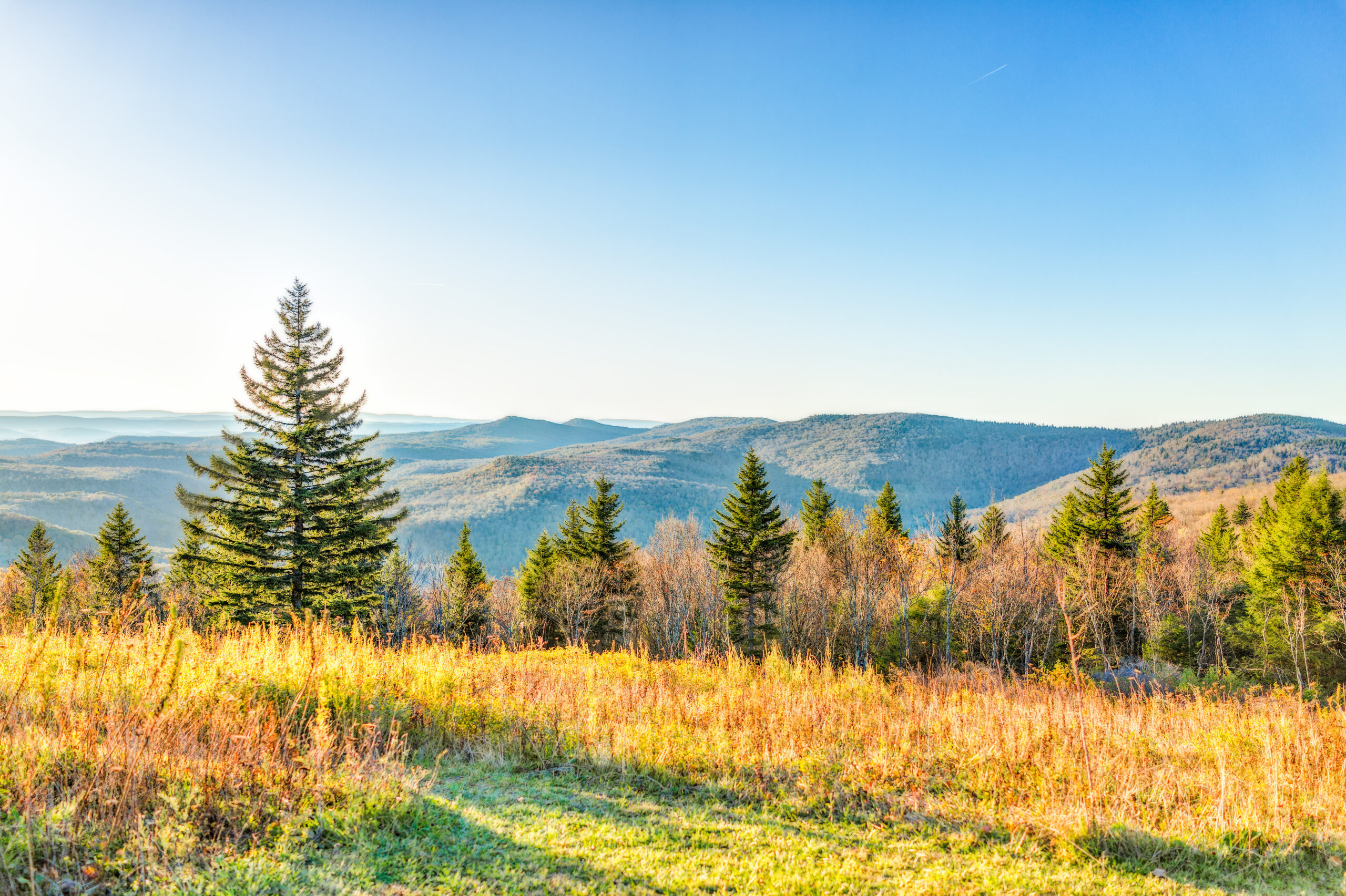 West Virginia