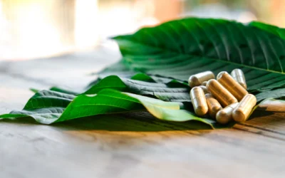 How Much Kratom Is Too Much in a Day? Understanding the Risks